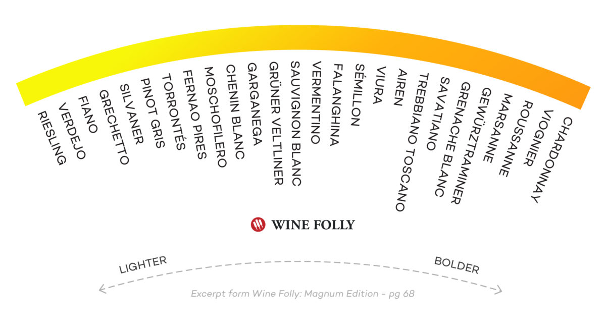 Different types of white wines organized by Body - infographic by Wine Folly