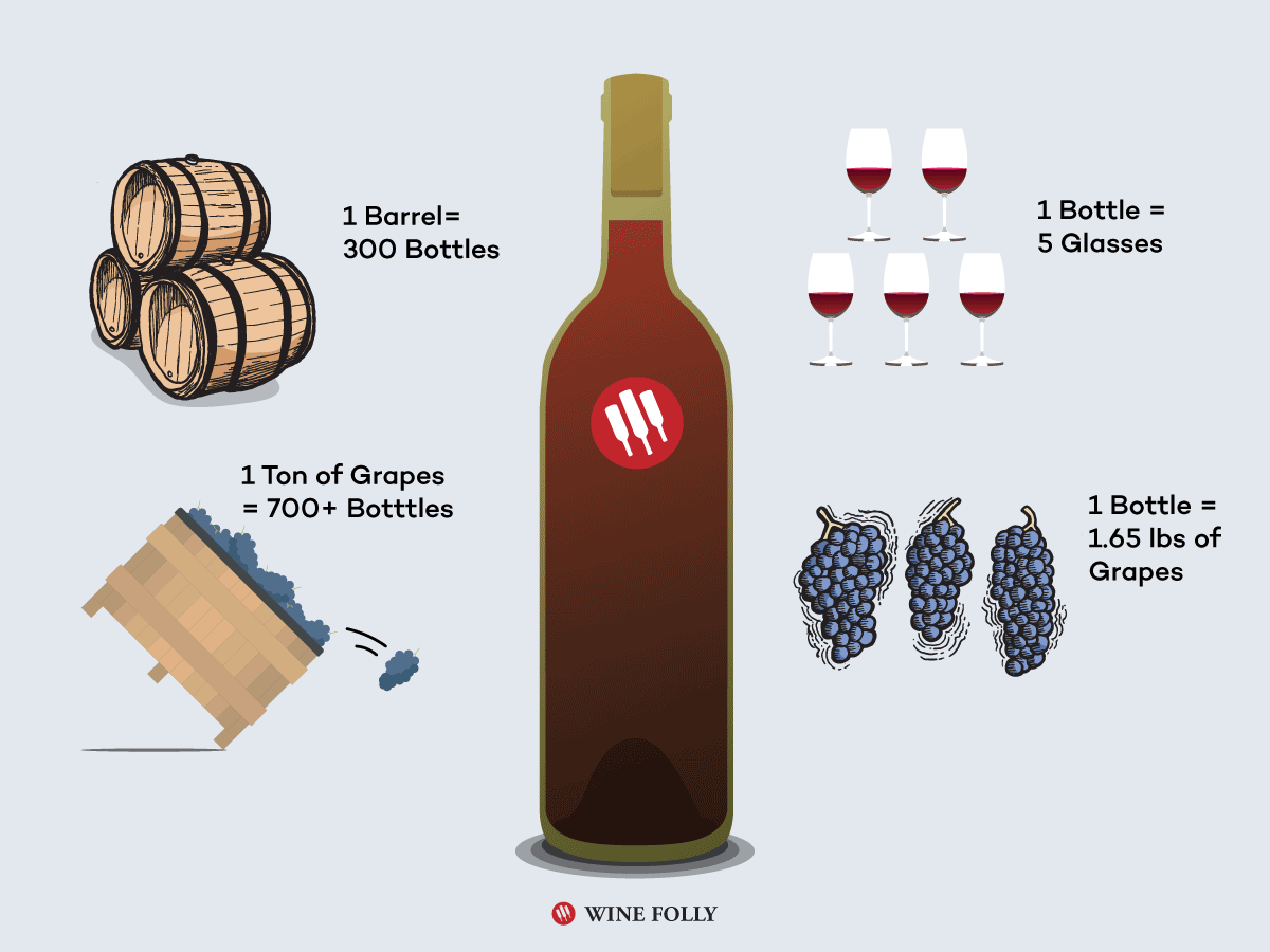 Fun Wine Facts by Wine Folly