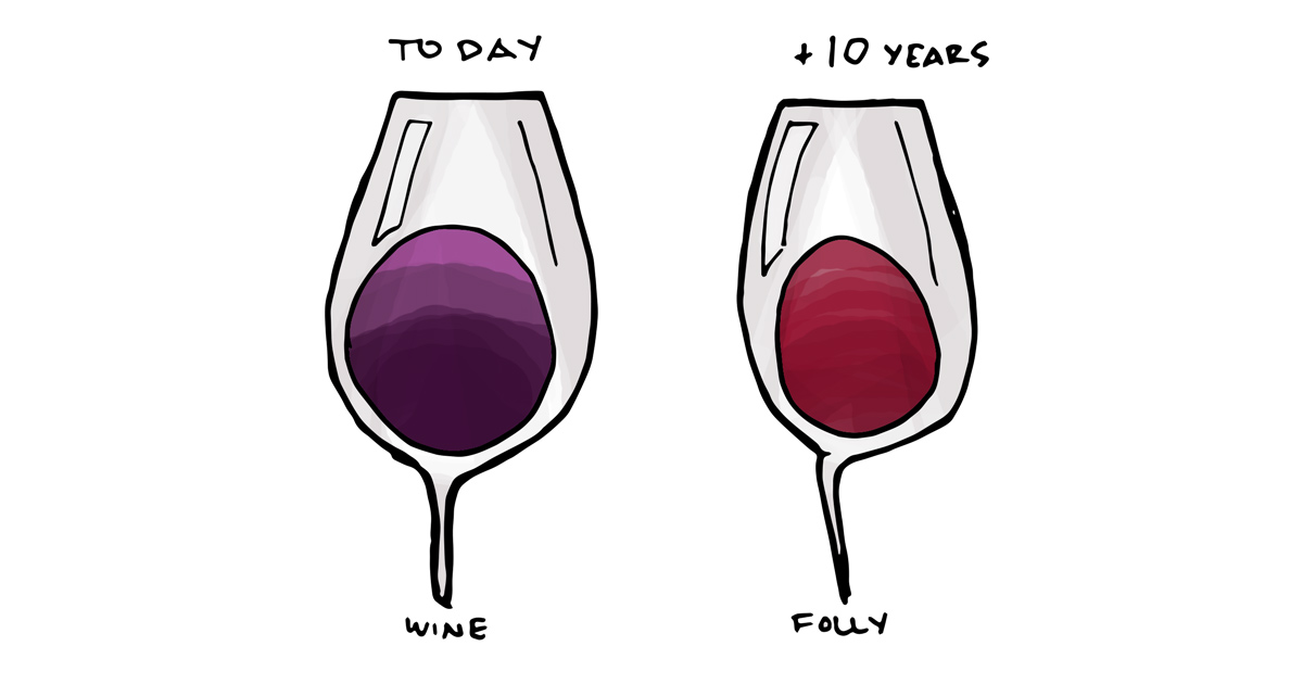 12 Fascinating Facts About Red Wine Wine Folly