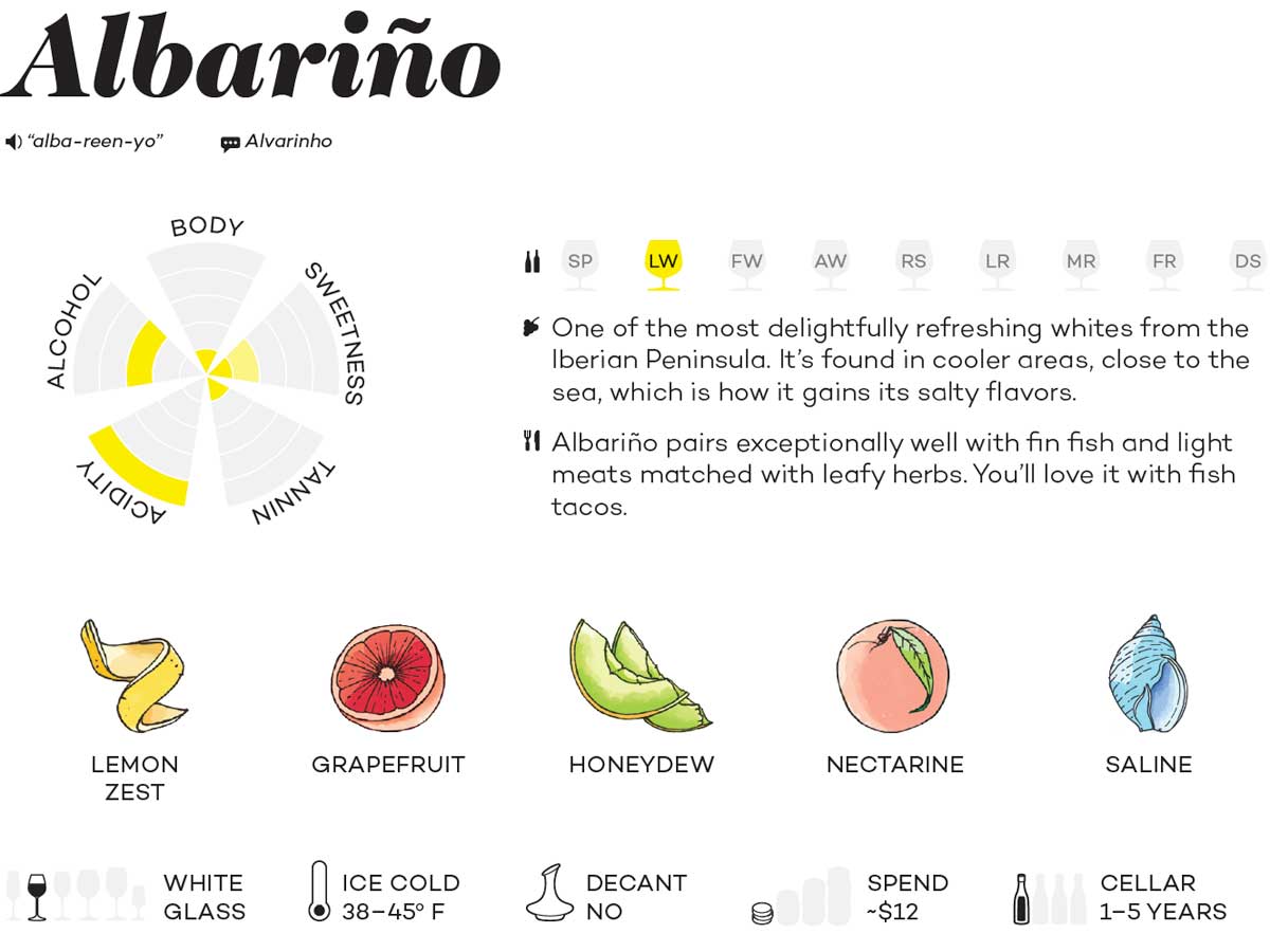 Albariño overview chart from Wine Folly Magnum Edition