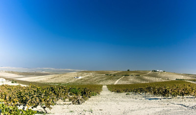 Albariza soil in sherry country Spain