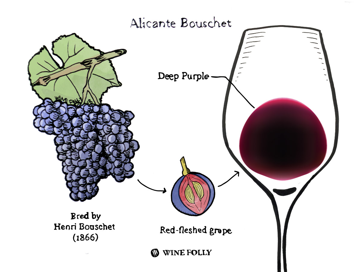 Alicante bouschet store