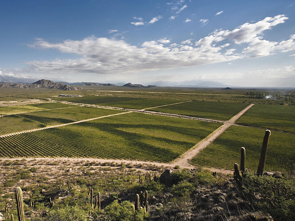 Adventurist's Guide to Argentina Wine Country (Part 2) Wine Folly