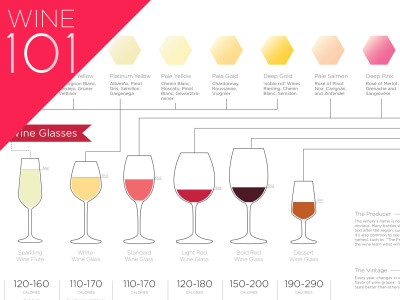 basic-wine-guide-for-beginners