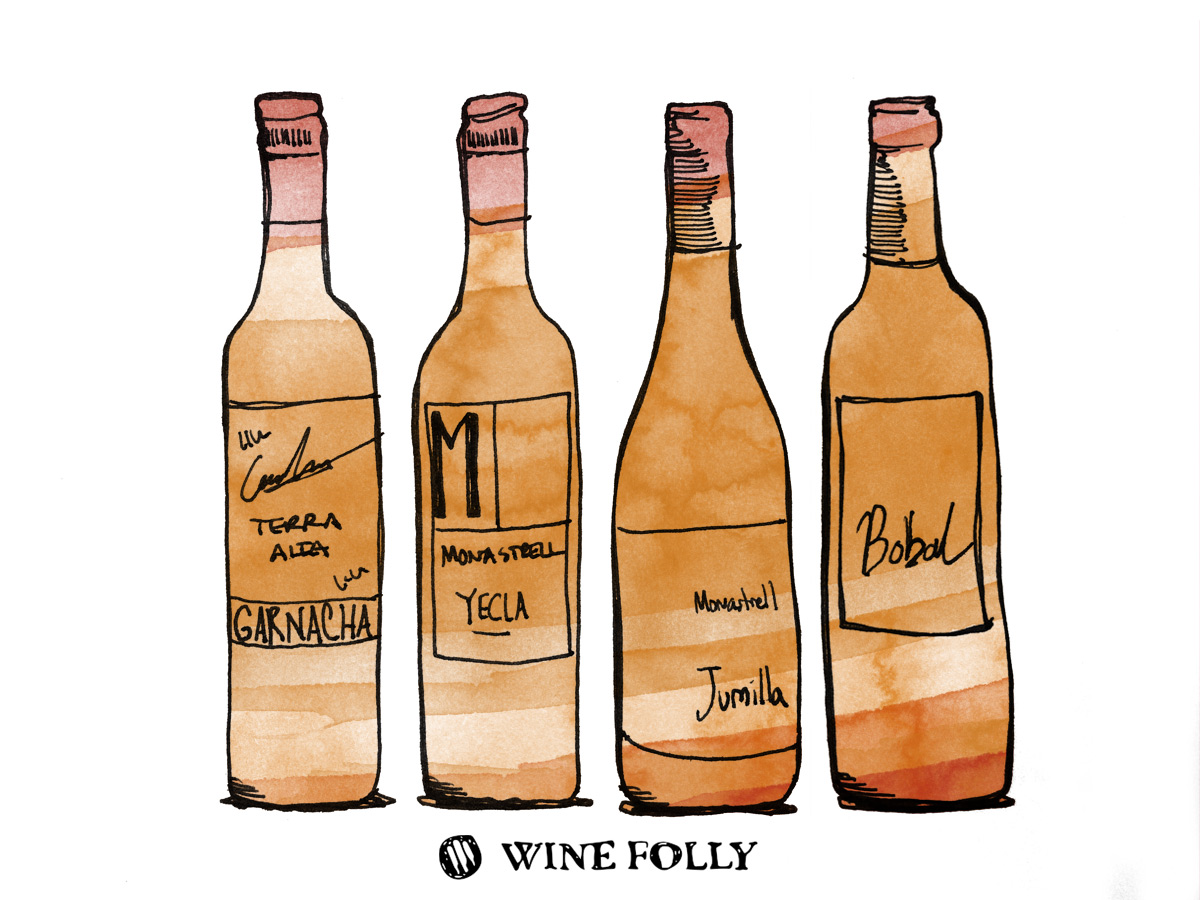 the-best-red-wines-under-10-wine-folly