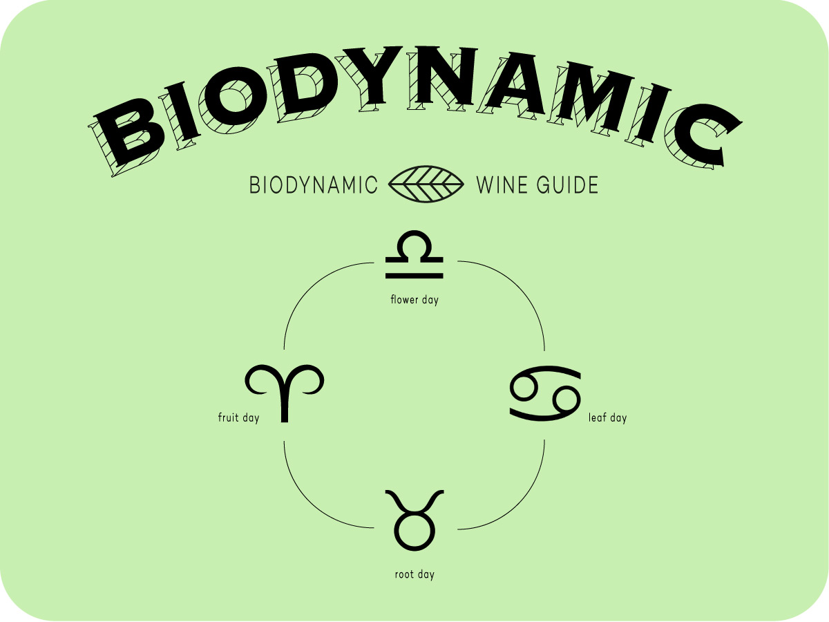 Jak se dostat do biodynamické víno Flonchi