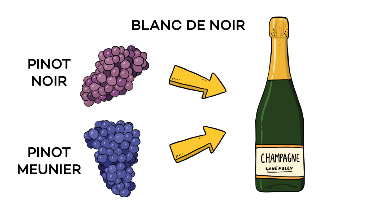 The Comprehensive Guide to Pinot Noir Wine Folly