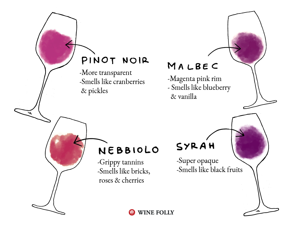 Defining Classic Wines (and The Trick To Blind Tasting), 54% OFF