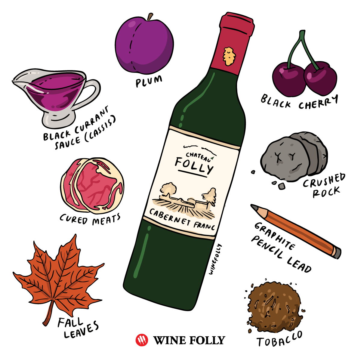 Illustration of the flavors of Cabernet Franc