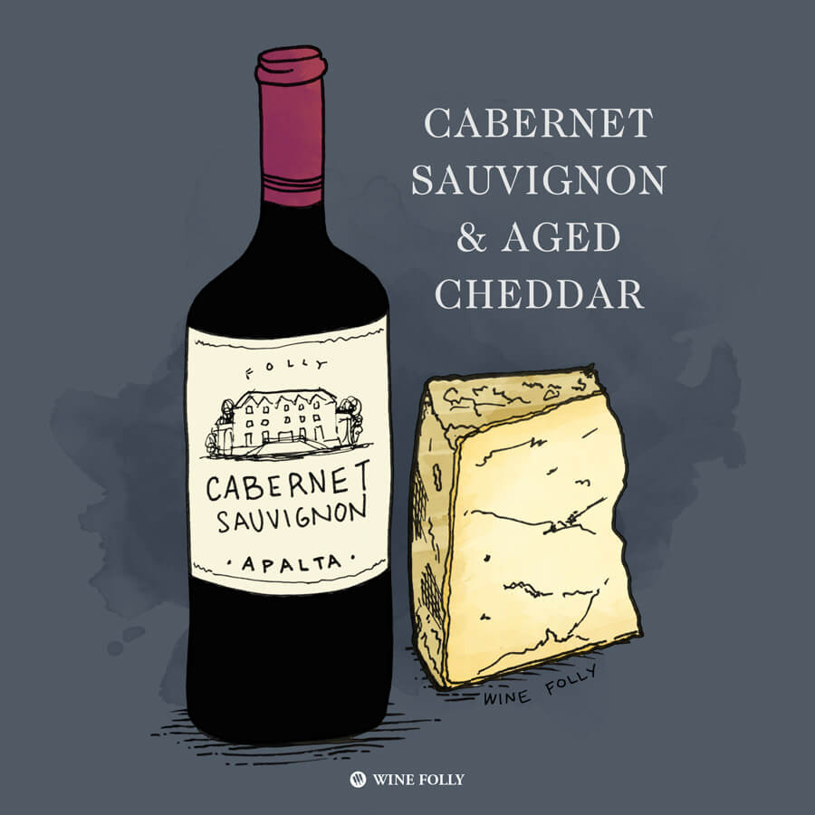 12 Classic Wine And Cheese Pairings You Must Try Wine Folly 8638