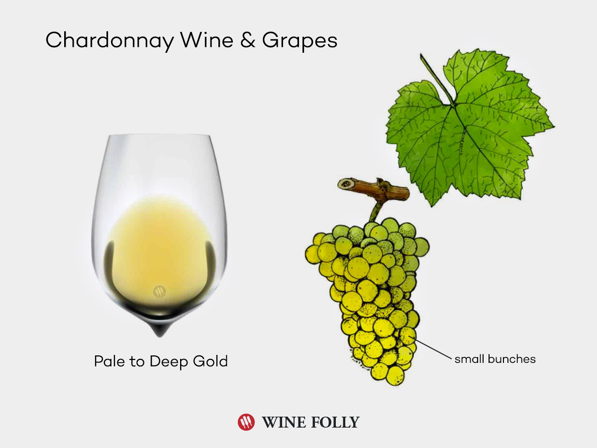 Chardonnay Wine Folly