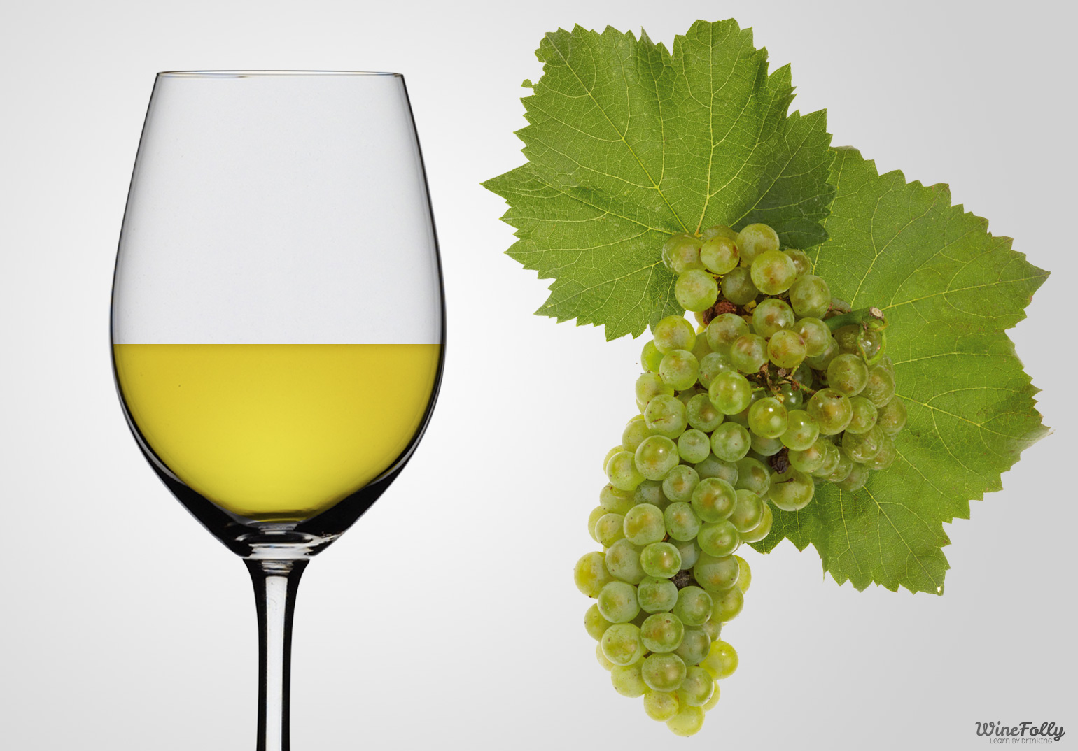 Chardonnay Wine Guide