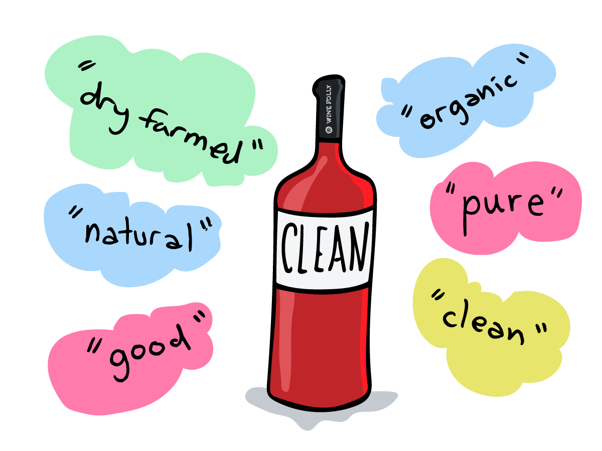 Clear Wines: The Truth About Biogenic Amines and Wine