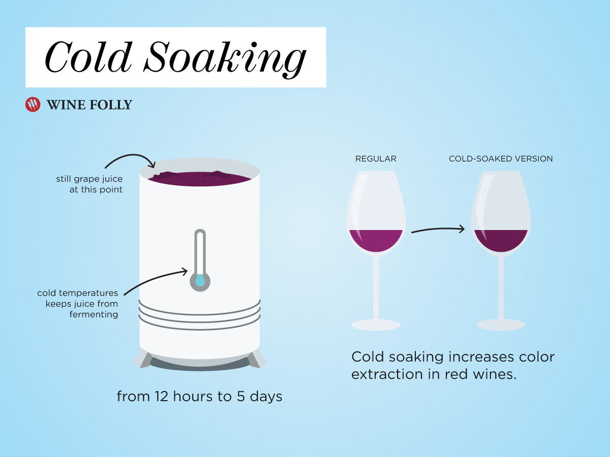 Winemaker S Red Wine Secret Extended Maceration Wine Folly   Cold Soaking Wine 