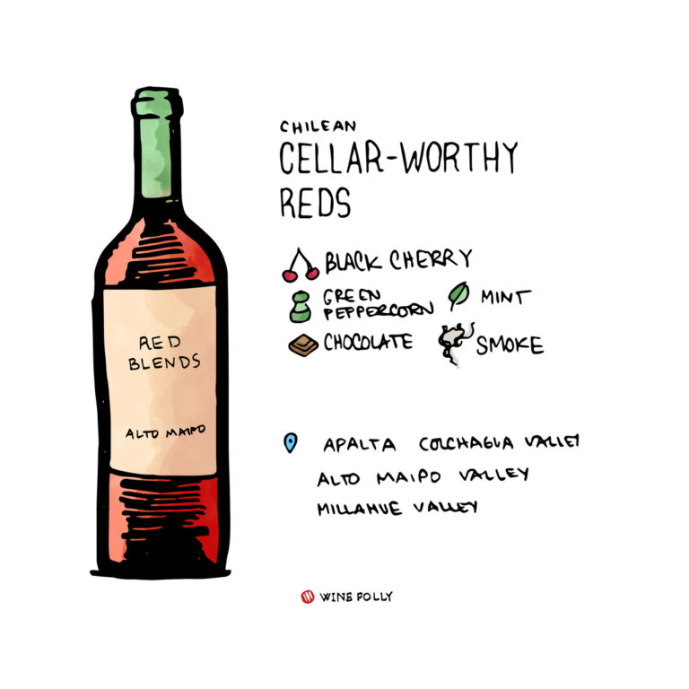 7 Wines From Chile That Will Blow Your Freakin' Mind Wine Folly