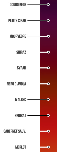 The Difference Between Light, Medium, and Full Bodied Red Wines