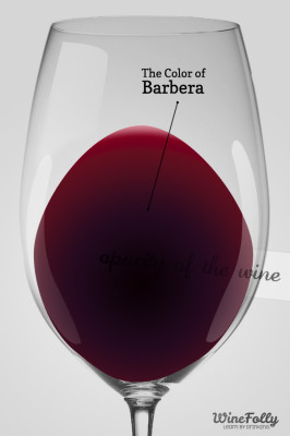 The Color of Barbera in a Glass