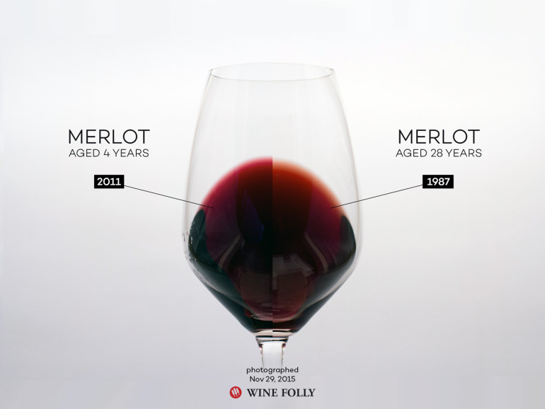 The Comprehensive Guide to Merlot