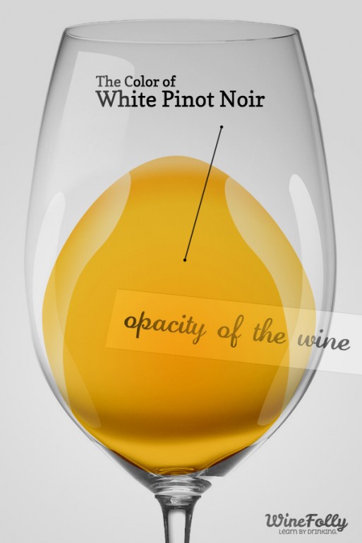 The Guide to White Pinot Noir Wine Folly