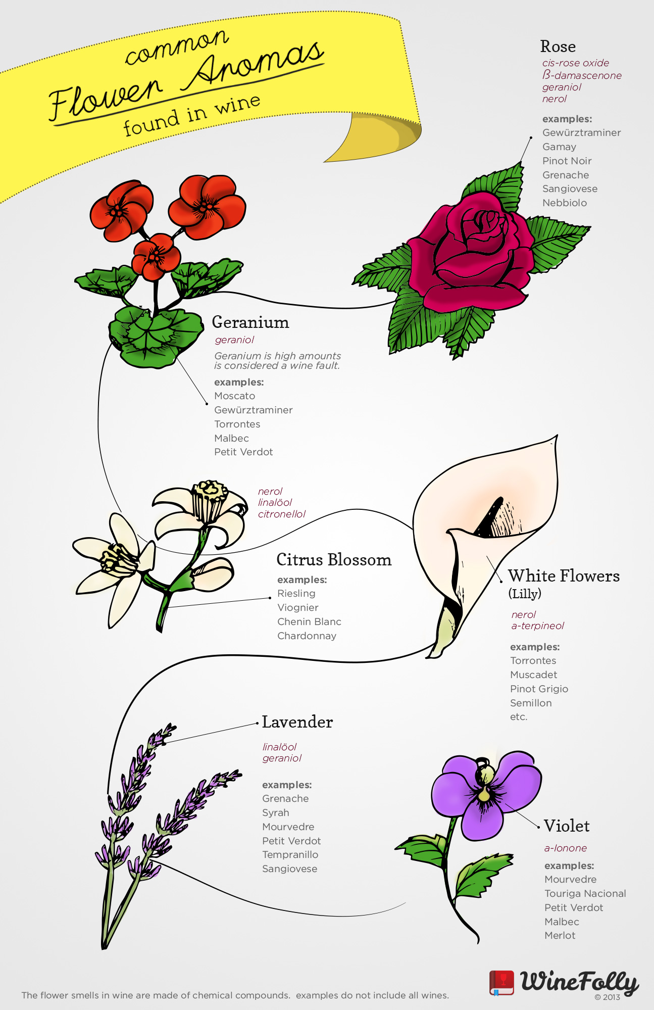 6 Common Flower Aromas In Wine Wine Folly