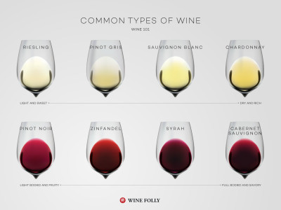 https://media.winefolly.com/common-types-of-wine-by-wine-folly-400x300.jpg