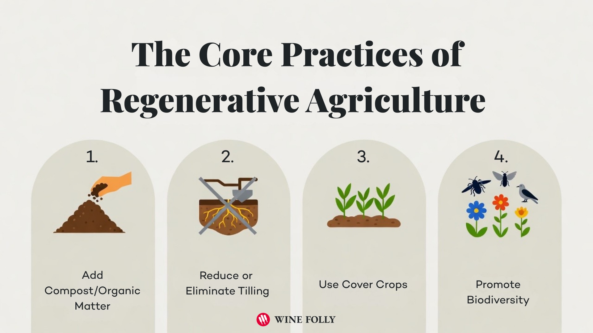 regenerative winemaking practices