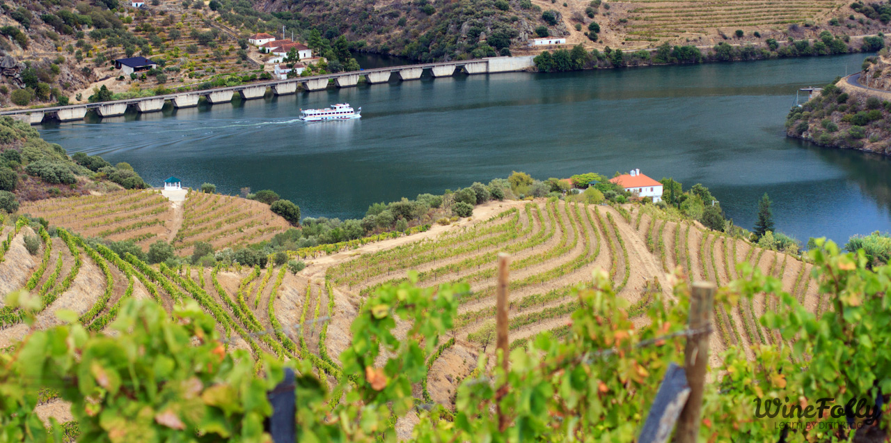 douro-river-valley-portugal-port-wine-country