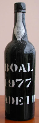 frasqueira-madeira-bottle-1977-bual-boal