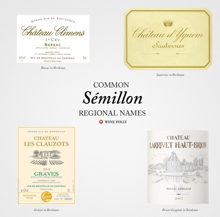 An Overview of French White Wines Wine Folly
