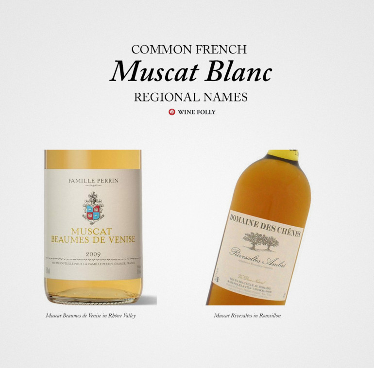 An Overview of French White Wines Wine Folly