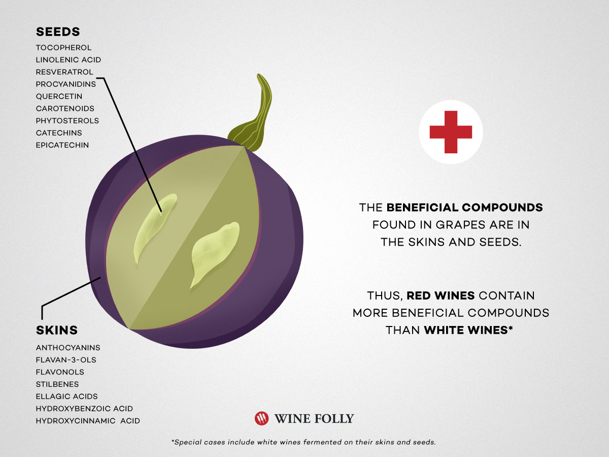 Red Wine Vs White Wine The Real Differences Wine Folly