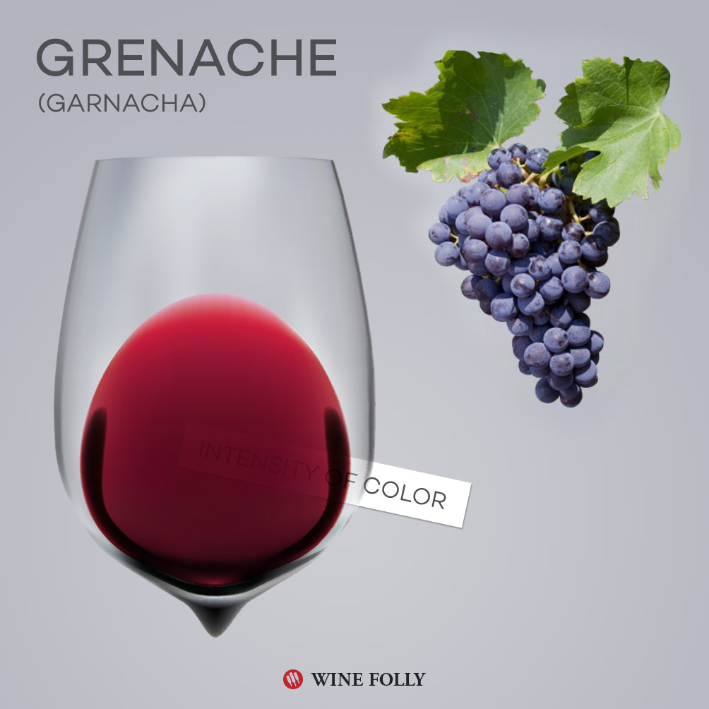 Grenache Weinglas und Trauben - Garnacha Wine Folly