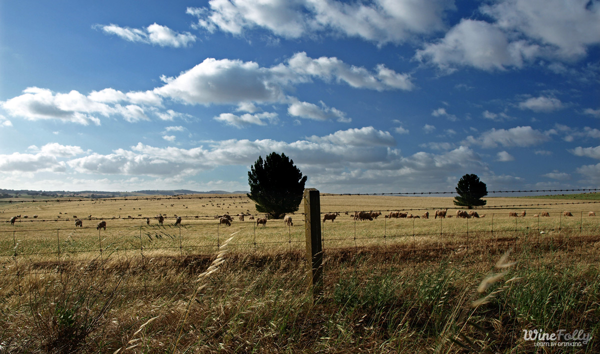 A hot day in November in the middle of no where South Australia