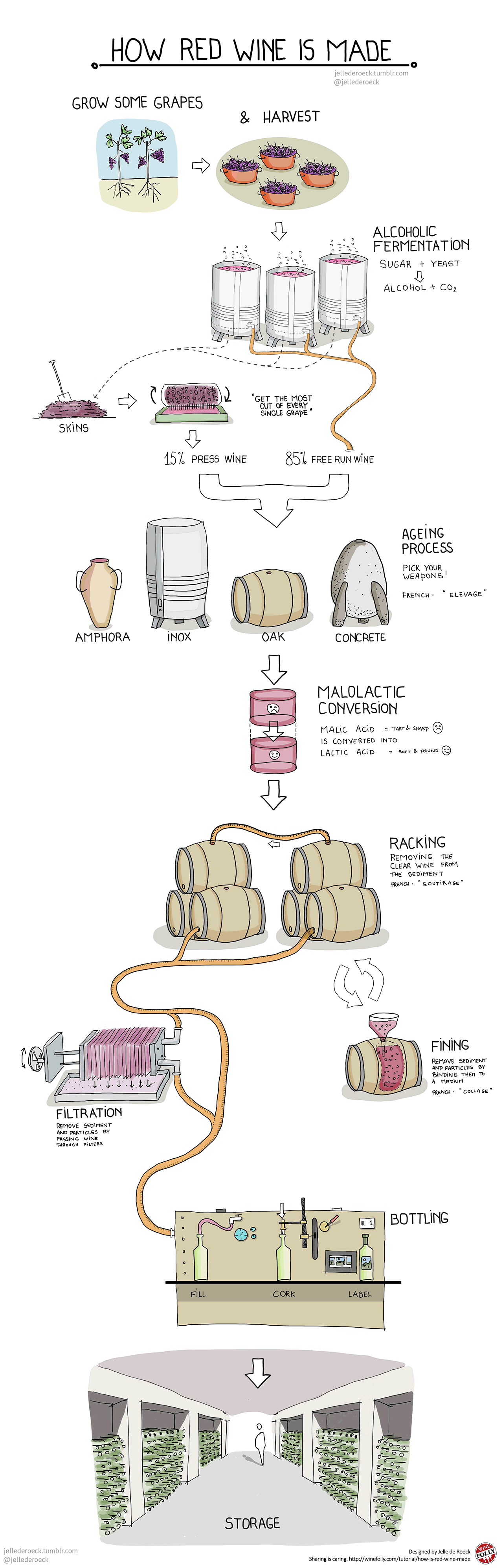 How Red Wine is Made Step by Step Wine Folly