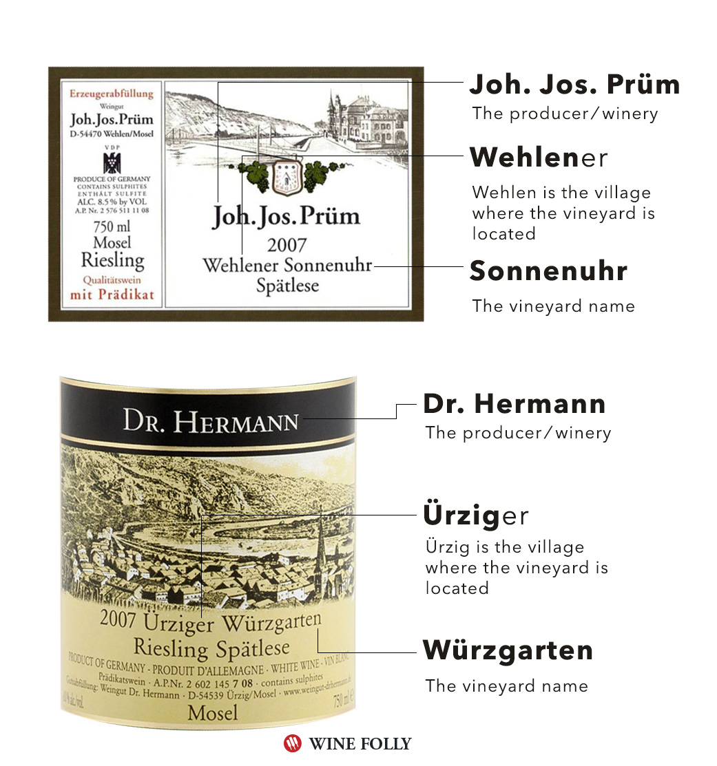 The Mosel Valley Wine Guide Wine Folly