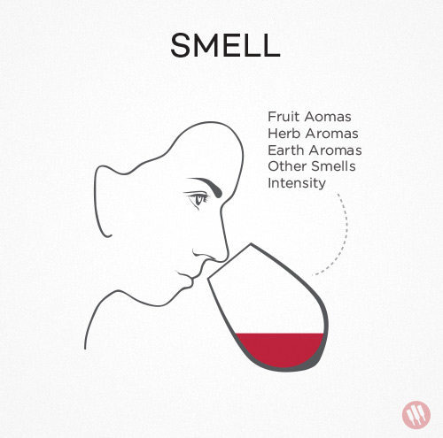 How to Taste Wine: 11 Wine Tasting Tips