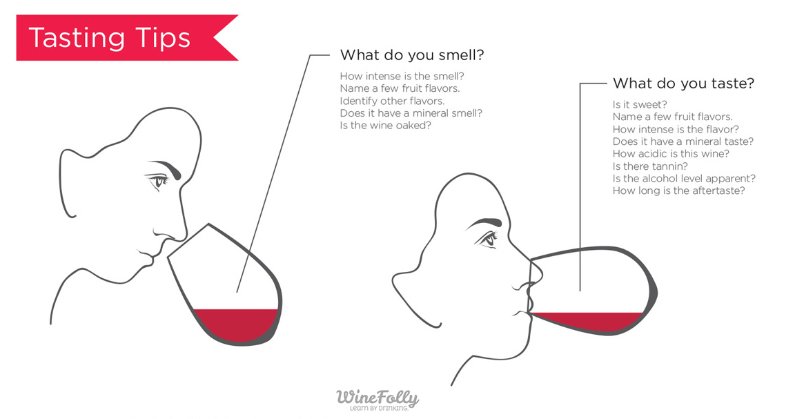 How to Wine Taste Properly