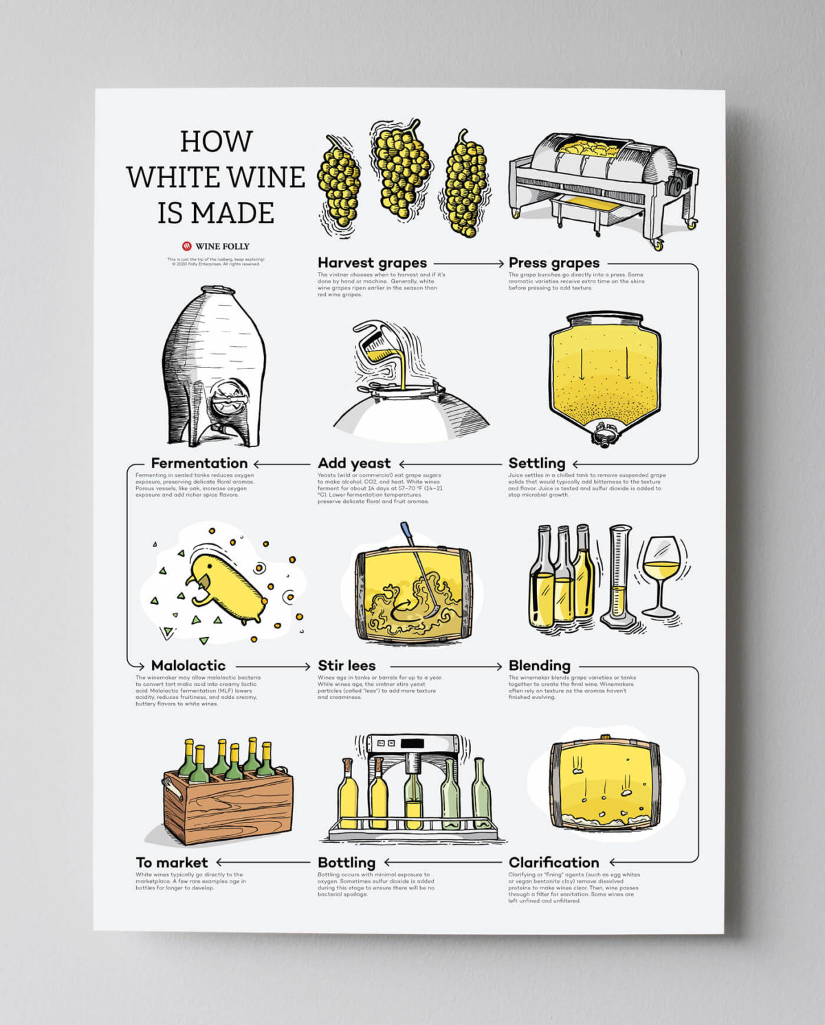 White Wine Fermentation