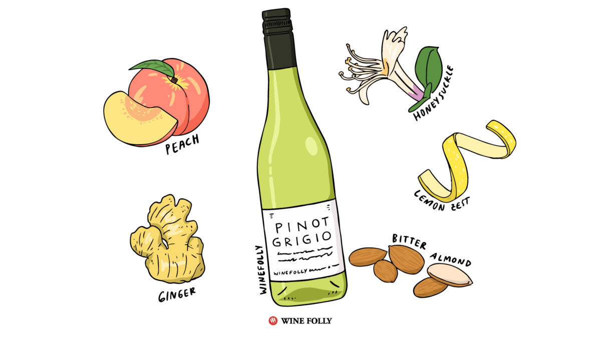 illustrated aromas of Pinot Grigio