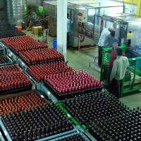 india nashik sula vineyards bottling Indian wine