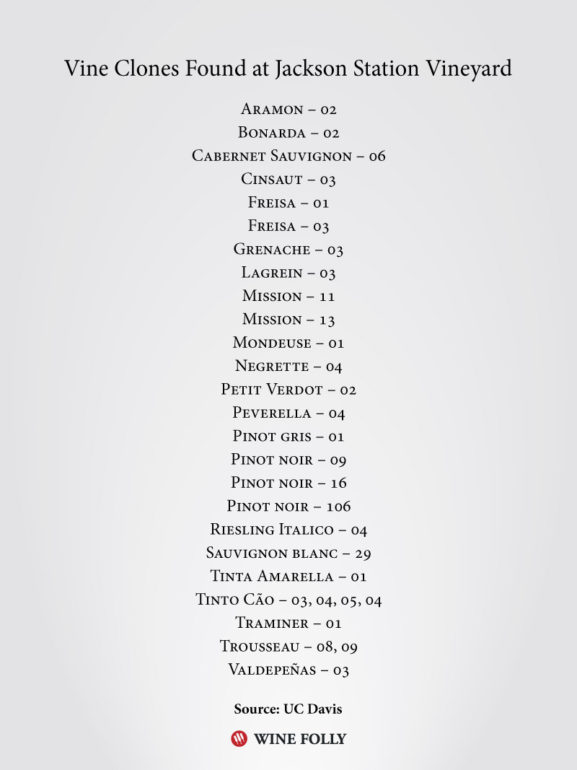 Clones found at Jackson Station Vineyard Site