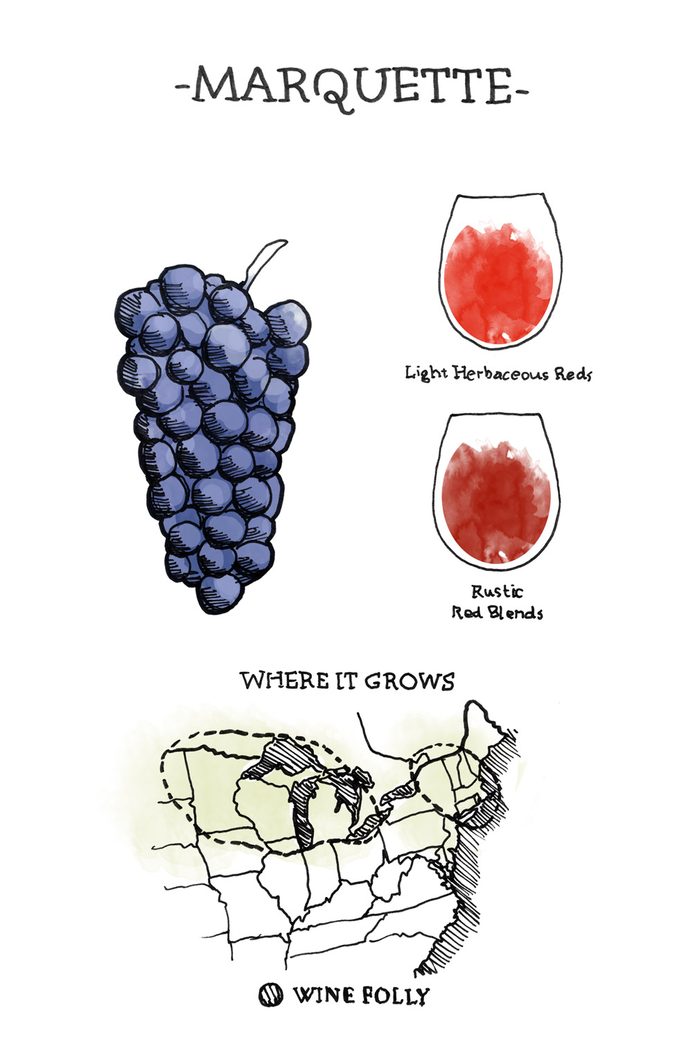 French Hybrid Wines From Chambourcin to Vidal Blanc