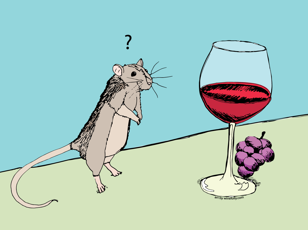 https://media.winefolly.com/mouse-wine-glass-illustration.jpg