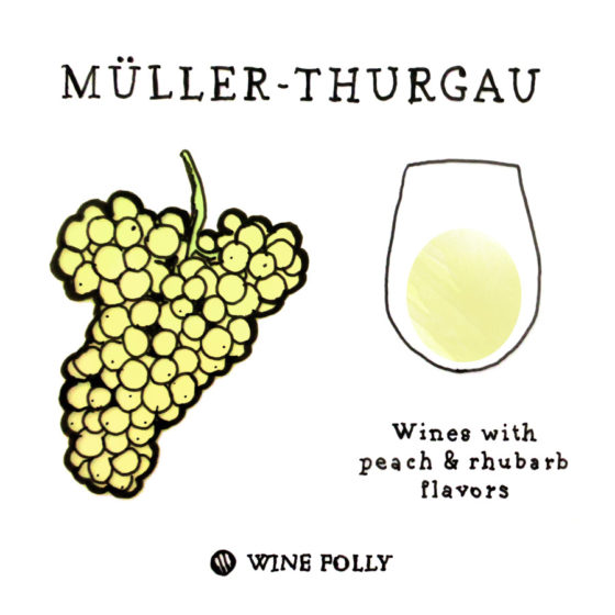 Guide to German White Wine Wine Folly