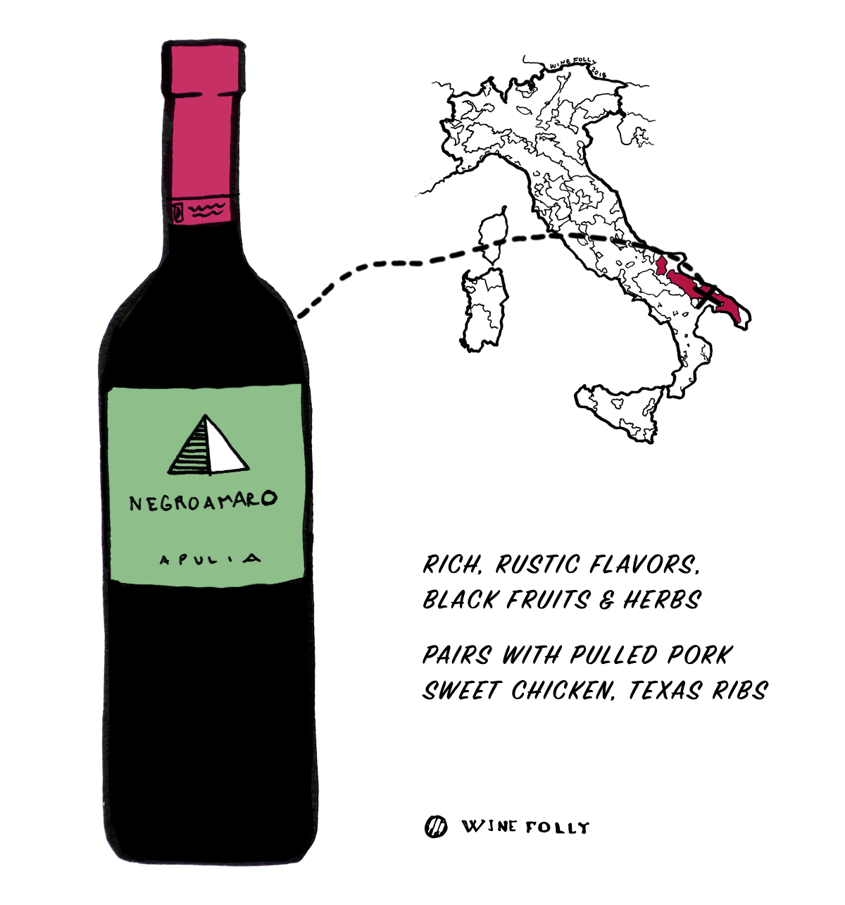 Negroamaro red wine grape from Italy - Great choice for beginners into Italian wine - Illustration by Wine Folly