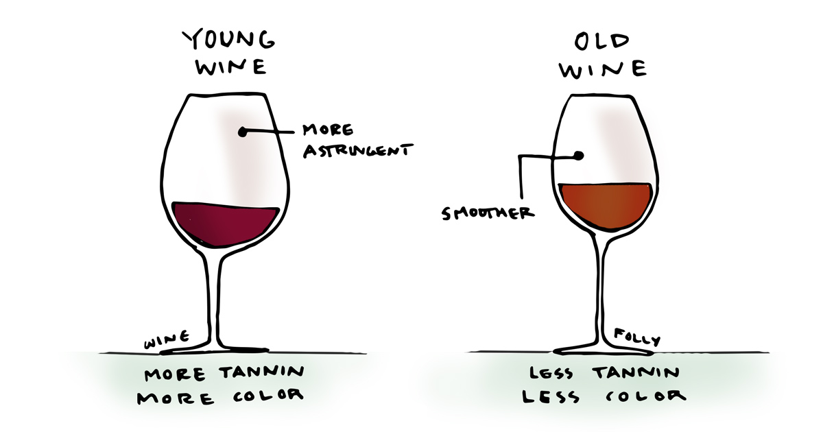 12 Fascinating Health Facts About Red Wine | Wine Folly