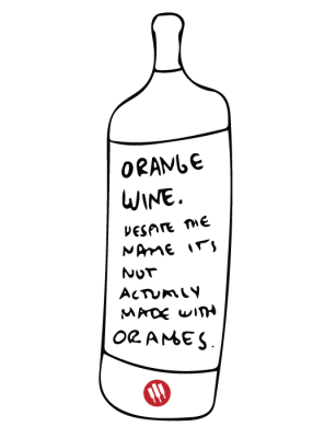 orange-wine-illustration