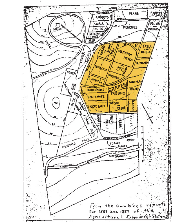 original-jackson-vineyard-map-1890-usdavis