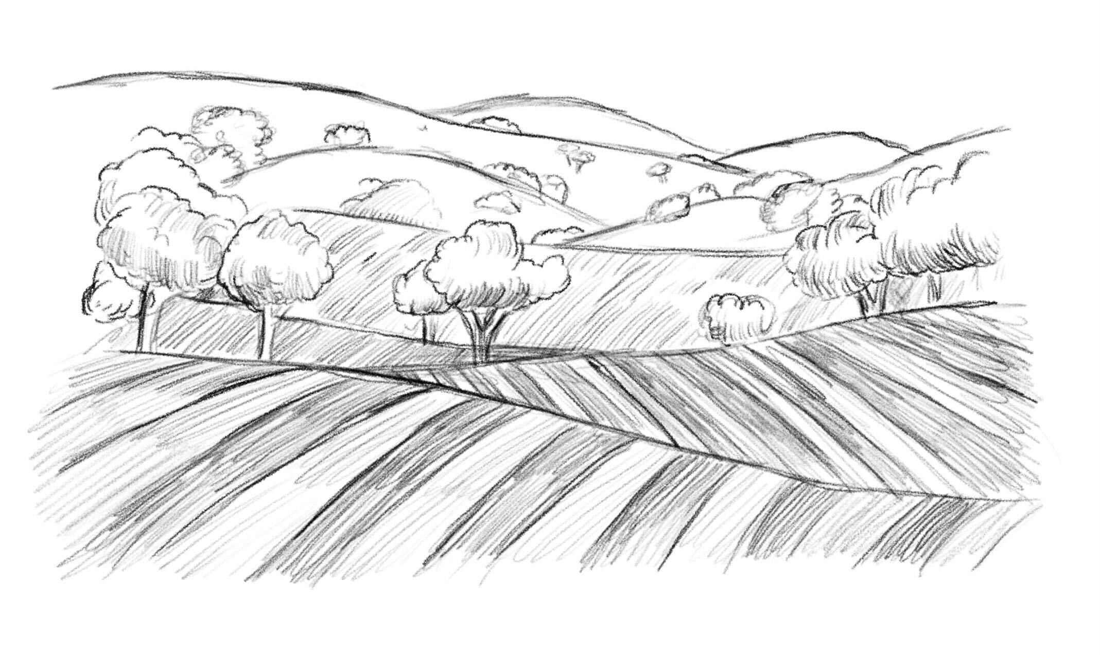 Paso Robles Wine Guide Launching Soon Wine Folly