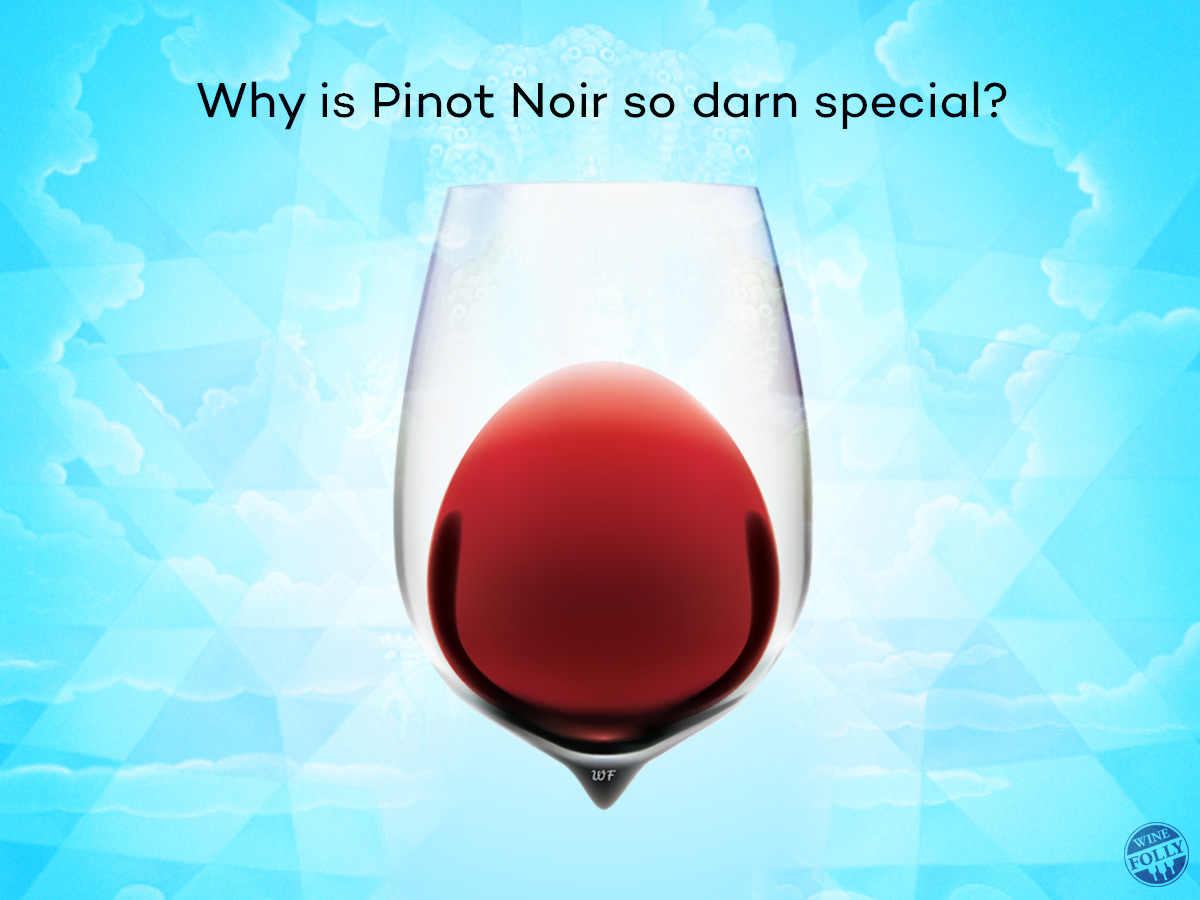 Pinot Noir Wine Color